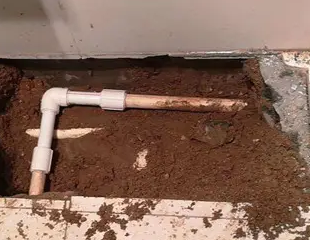 菏泽测漏水哪家好